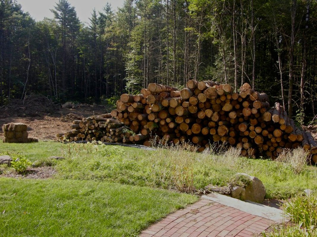 Brush Clearing